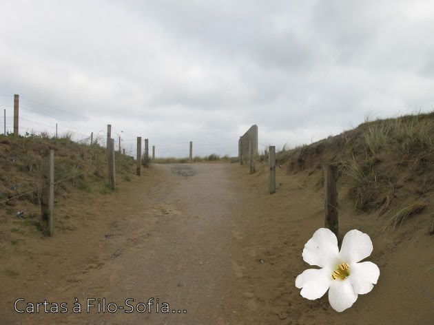 Road trip to Normandy